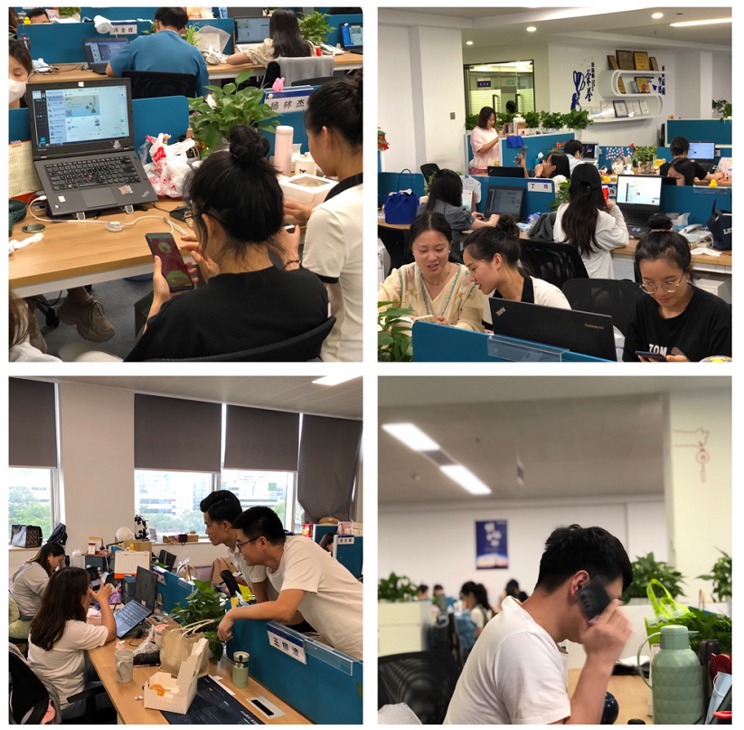 yp街机·电子游戏(中国)官方网站